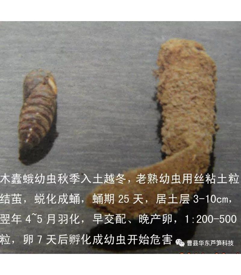 微信圖片_20210202084406.jpg