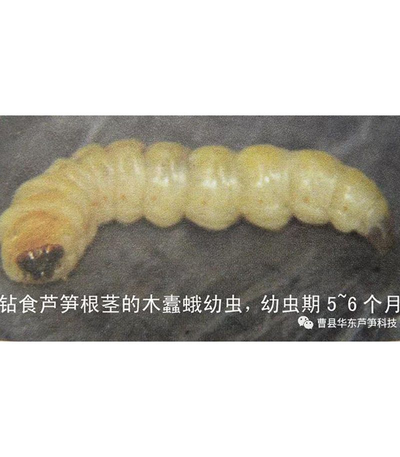 微信圖片_20210202085450.jpg